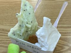 眉县猕猴桃冰淇淋-野人先生Gelato(上海长宁龙之梦店)