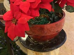 -碧桂园凤凰城酒店(南京店)