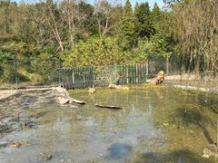 -溱湖国家湿地公园