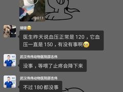 -伟伟宠物医院·CT影像中心·瑞派犬猫综合性门诊(汉口总院)