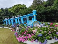 -上海滨江森林公园