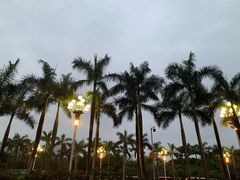 -海底捞火锅(番禺广场店)