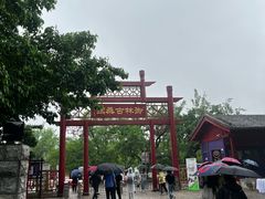 -御林古桑园