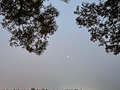 -东湖生态旅游风景区