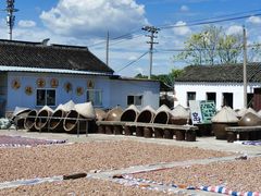 -苏州市吴中区光福窑上花果蜜饯厂