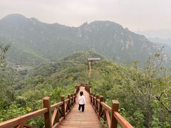 -大岭沟猕猴桃谷风景区