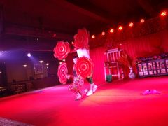 -关东情主题文化演艺餐厅