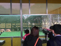 -长洲岛都市农业公园