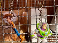 -Catch Bagel(芳草地店)