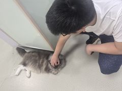-美美宠物诊疗中心·异宠·骨科(滨江东信分院)