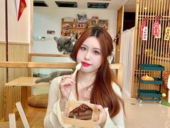 -Catmate·猫肥家润(金润铂宫店)