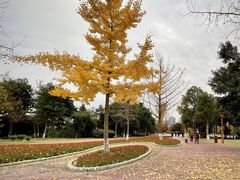 -眉山湿地公园(东坡区)