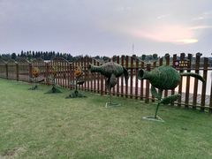 -明珠湖天鹅苑·农家菜馆