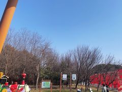 -同里国家湿地公园