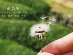 -龙坞茶村