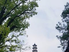 -江心屿景区