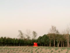 -柳鹭田园区