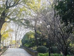 -伯先公园