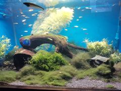 -梦幻海洋王国(吾悦广场张家港店)