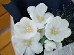 -Native Flower 莱提花艺(南海新天地广场店)