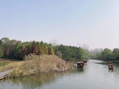 -溱湖国家湿地公园