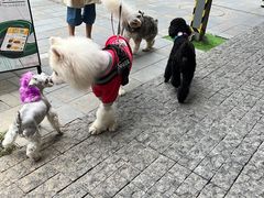 -星巴克(珠海仁恒滨海中心店)