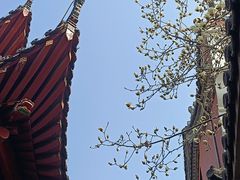 -长春观