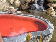 -汇雅温泉