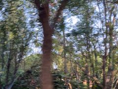 -宝界山林公园