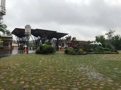 -上海长兴岛郊野公园