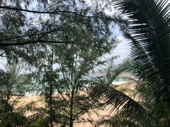-广东惠东海龟国家级自然保护区