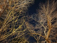 -北海道厅旧本厅舍(旧本庁舎)