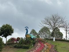 -东莞植物园