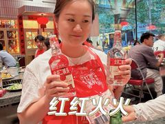 -二胖家铁锅炖大鹅(双井店)