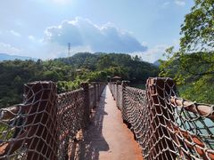 -广州白江湖森林公园