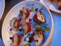 -Ocean's Table 欧舍