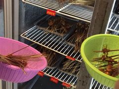 自助取餐区-两角签串串香十一年老字号(机场路店)