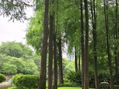 -晓港公园