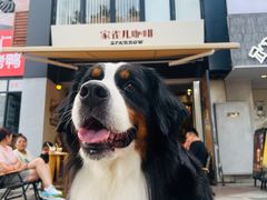 -SPARROW 家雀儿咖啡本店