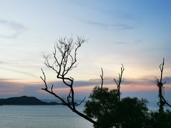 -东澳岛