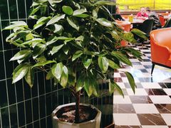 -俭寨大盘鸡·新疆菜·烧烤(博乐店)