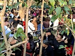 -韶山毛泽东同志故居