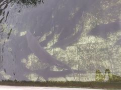 -天源渔港农庄