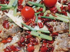 -老板恋上鱼(恒隆广场店)