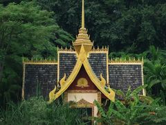 -西双版纳原始森林公园