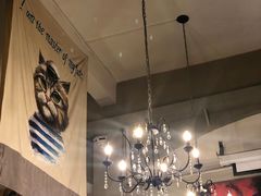 -猫咪博物馆(顶澳仔猫街店)