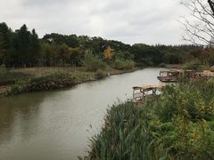 -上海长兴岛郊野公园