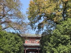 -灵谷景区