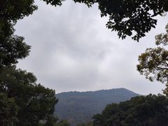 -阿育王寺