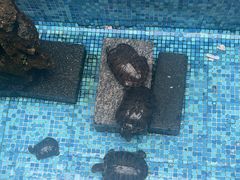 -莹珠阁·私房菜